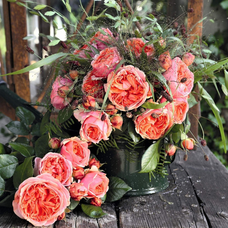 10 of the Best Fragrant Roses for Your Garden