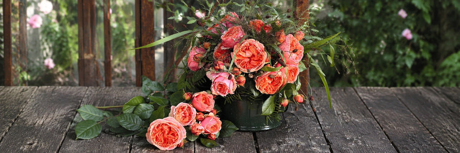 10 of the Best Fragrant Roses for Your Garden