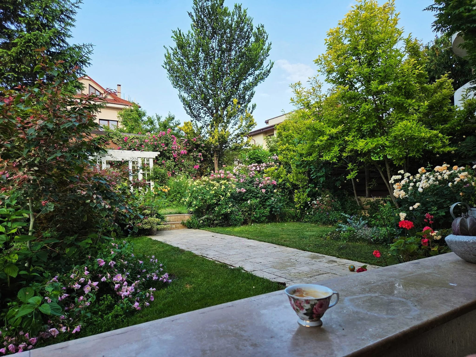 Creating Beautiful Garden Rooms with Climbing Roses