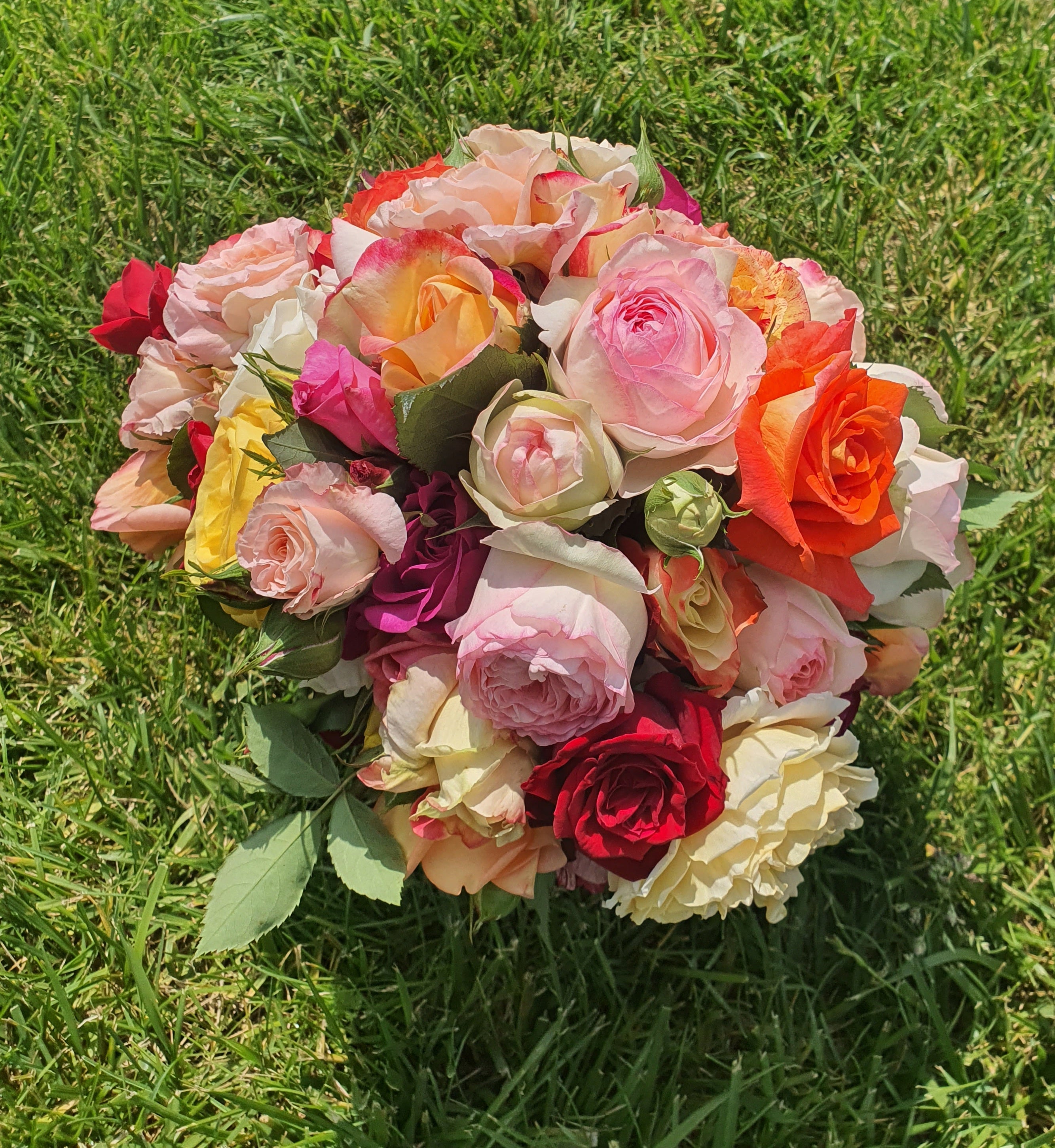 Cutting for Bouquets | Potted or Bare Root Bushes | Buy Top Quality ...