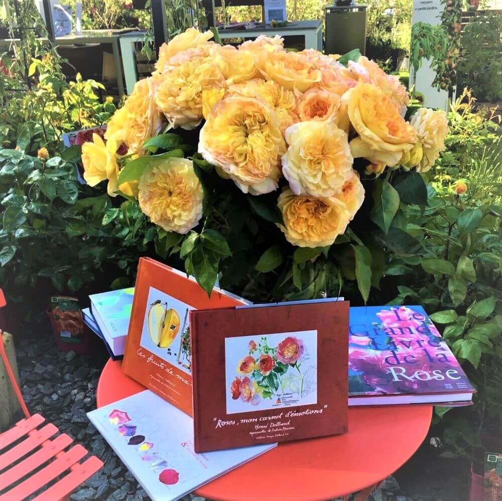 Henri Delbard ® | Hybrid Tea Roses | Garden Rose Bush – Famous Roses World