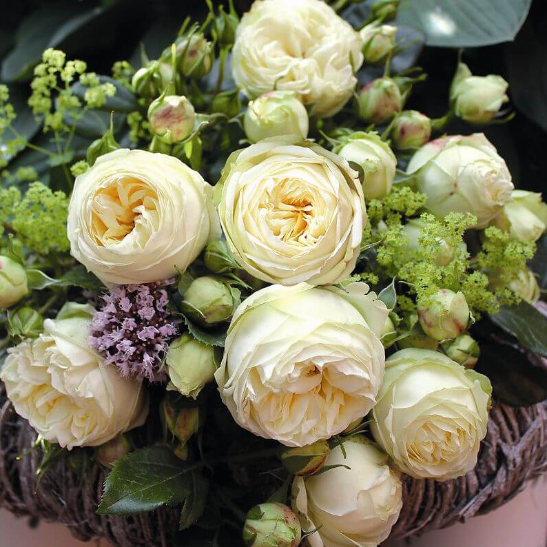 Wedding Piano
