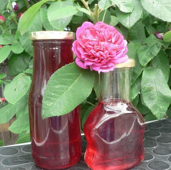 Rose de Rescht ® - ruža na džem a sirup
